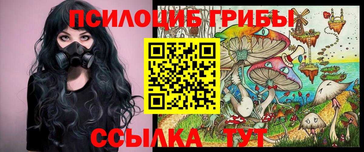 Псилоцибиновые грибы Psilocybe Урюпинск